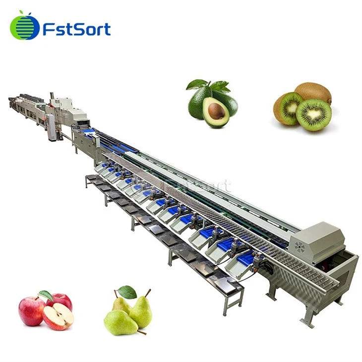 Hot Rea Avokado Vikt Sorteringsmaskin